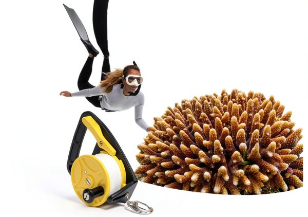 Lwuey Yellow ABS Plastic Diving Reel Sports Outdoors-2